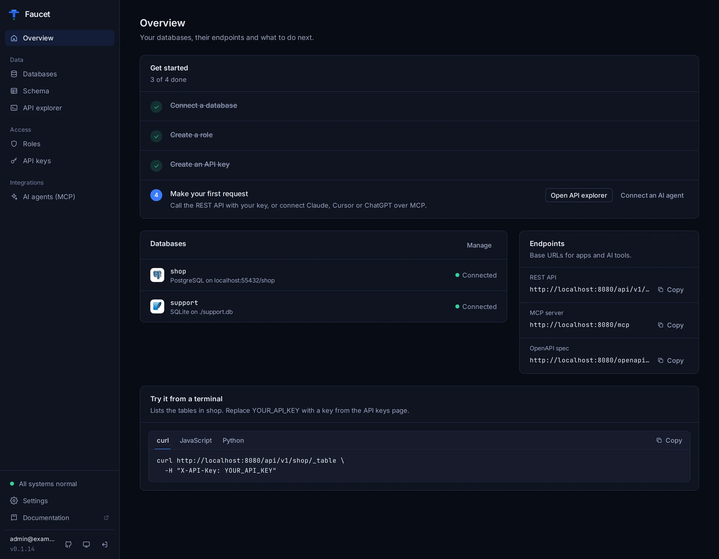 The Overview page with two connected databases, their endpoints and a ready-made curl command